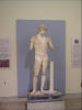 Statue des Antinous