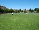 Cricketfeld